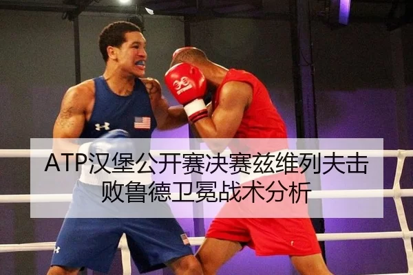 han-bao-gong-kai-sai-jue-sai-zi-wei-lie-fu-ji-bai-lu-de-wei-mian-zhan-shu-fen-xi-2-524.jpg